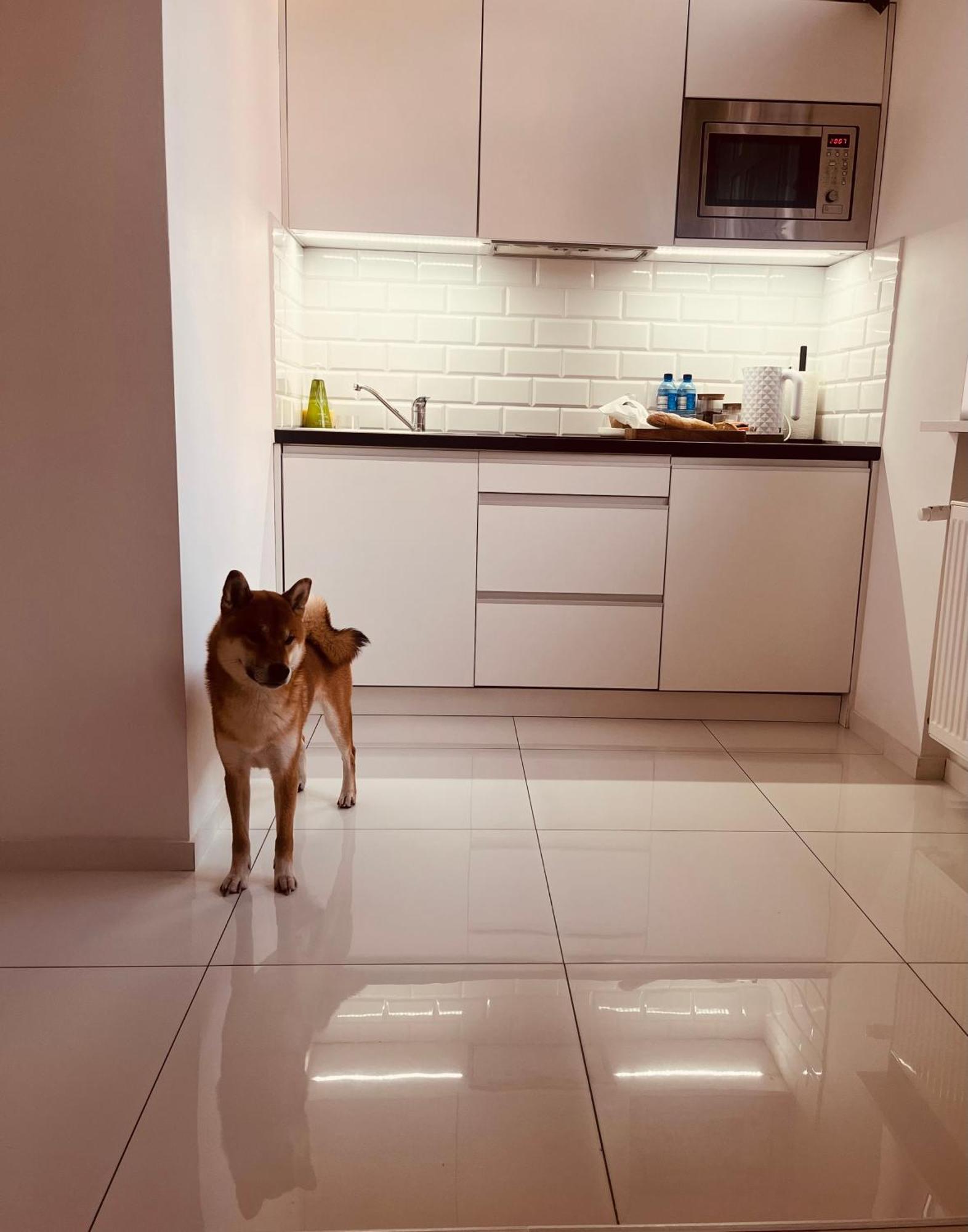 Apartament I Love Piotrkowska Z Wielkim Lustrem, Balkonem I Klimatyzacja Лодзь Екстер'єр фото